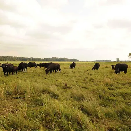 ファームステイ Schloss