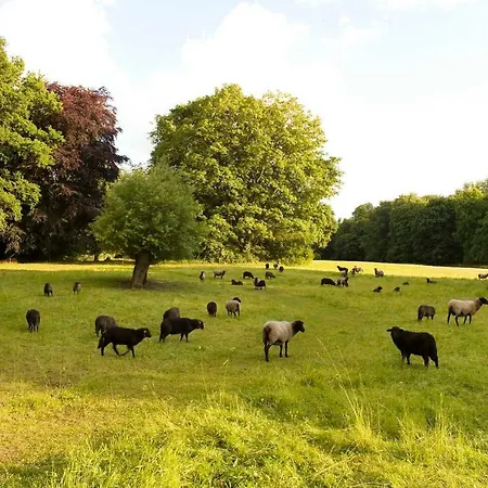 Schloss Farm stay *