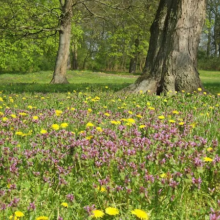 Schloss ファームステイ